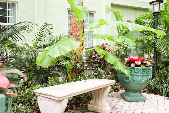 Preston's Wine and Martini Lounge