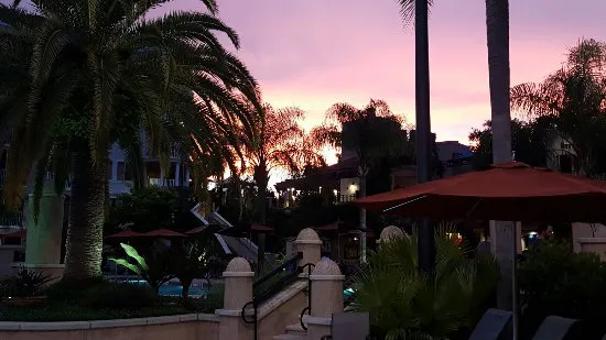 Copa Loca Pool Bar & Grill, الولايات المتحدة الأمريكية