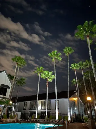 Copa Loca Pool Bar & Grill, الولايات المتحدة الأمريكية