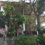 Jungle Beach Inn Restaurant, الولايات المتحدة الأمريكية