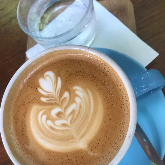 السيد تود كافيه