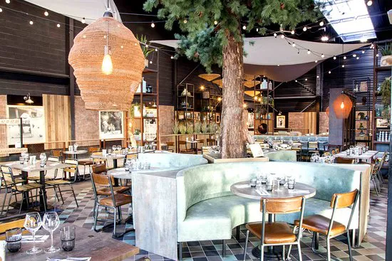 بلاس دي أوليفييه