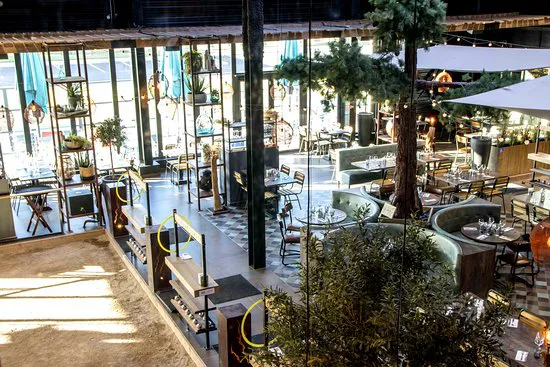 بلاس دي أوليفييه