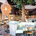 بلاس دي أوليفييه