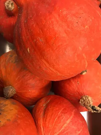 مطعم إيفو، كوبنهاجن