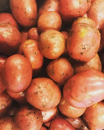 مطعم إيفو، كوبنهاجن