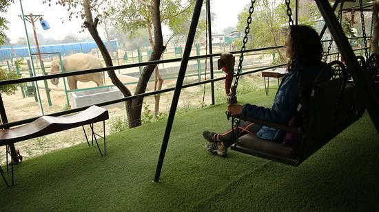 مقهى هابي إليفانت ومتجر الهدايا