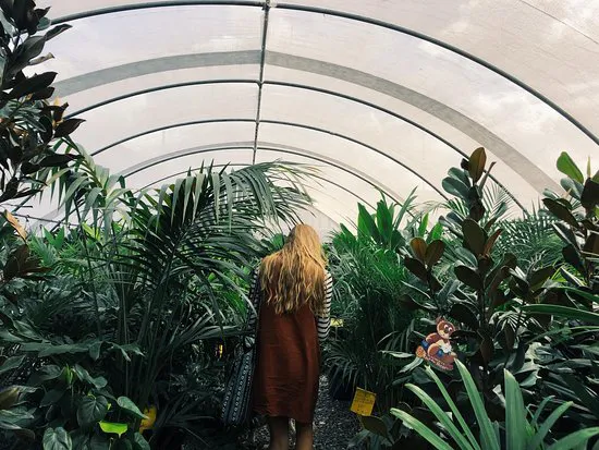 نيوكاسل زهرة الأسواق كشك مقهى