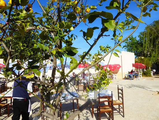 مطعم كانياميل