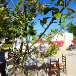 Restaurante Canyamel