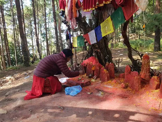 هولا كيو تال كافيه