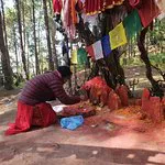 هولا كيو تال كافيه