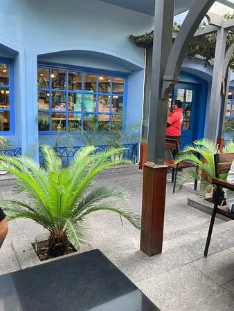 The Hazelnut Factory