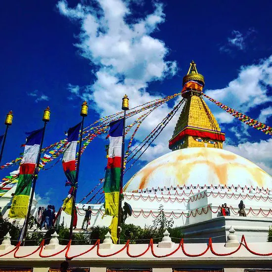 مقهى كارافان