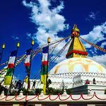 مقهى كارافان