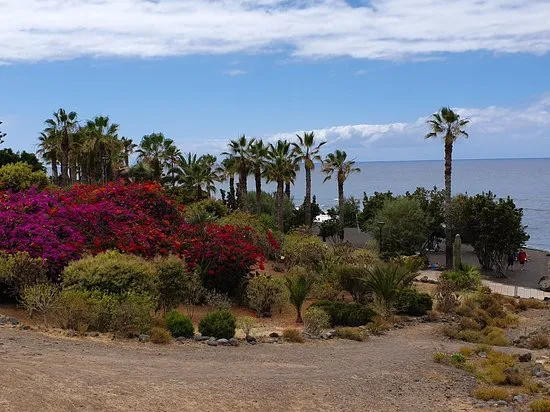 مطعم البيتزا Playa Jardin