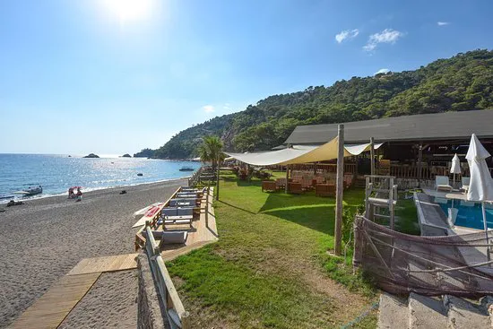 مطعم سي فالي، فتحية