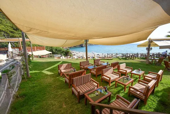 مطعم سي فالي، فتحية