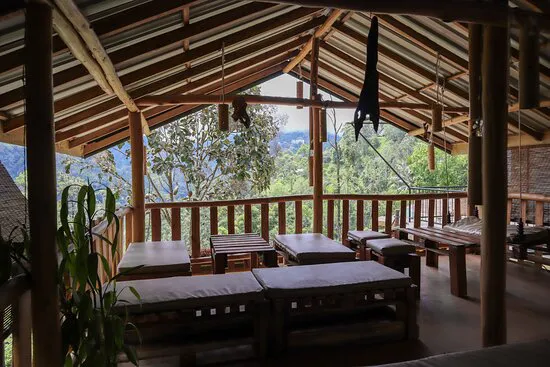 الكاري بوت إيلا