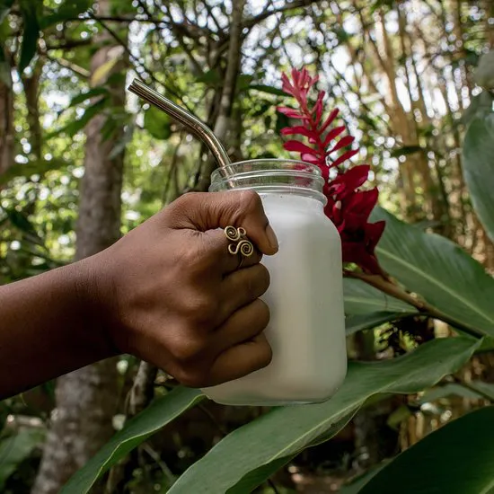 منزل تحت Palmtrees