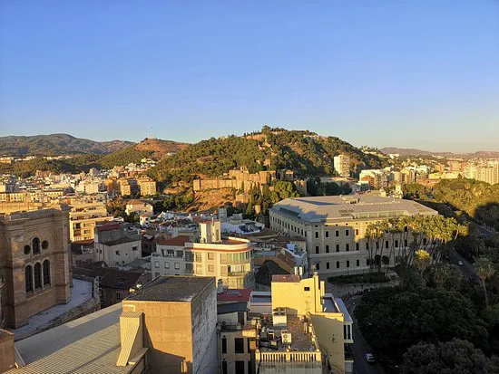 أتيكو بار & مطعم