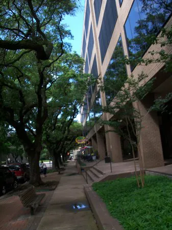 بوديغاس تاكو شوب