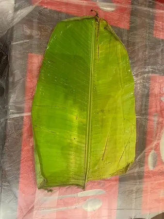 مطعم روتشي، المحرّق