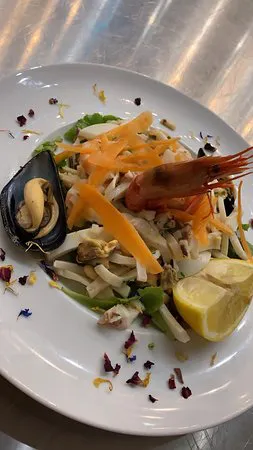 الأساسية الأساسية