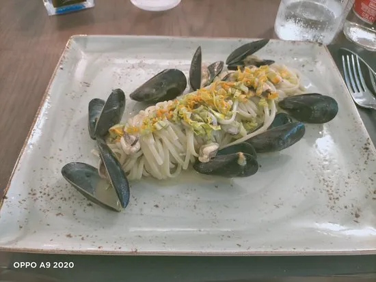 الأساسية الأساسية