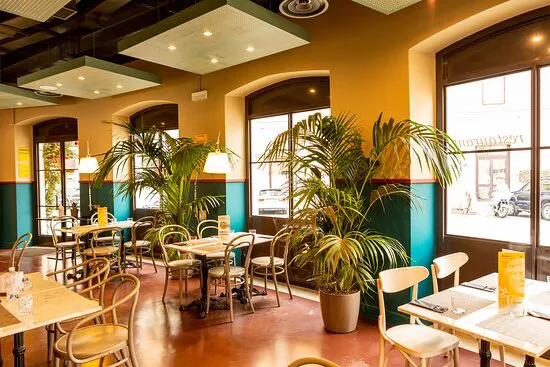 كافيتيريا ماسيمو