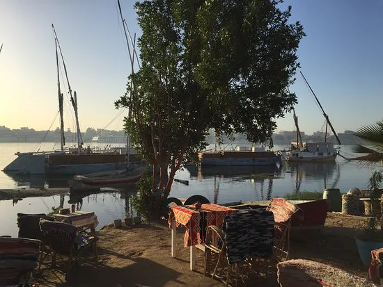 مطعم كوب قهوة شروق الشمس