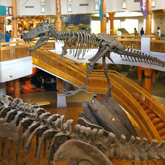 The Burger Digs Islands of Adventure