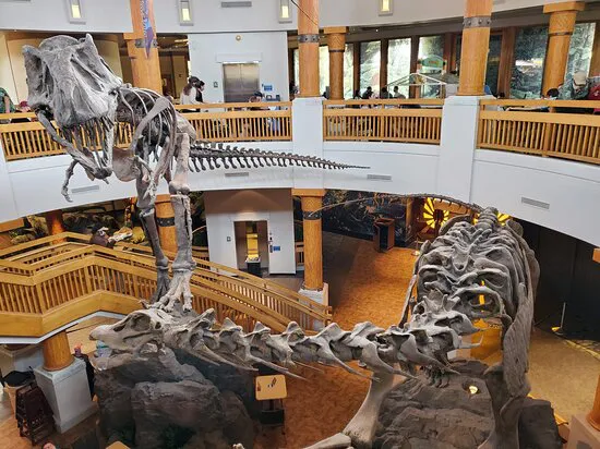 The Burger Digs Islands of Adventure