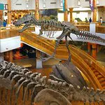 جزر المغامرات The Burger Digs Islands of Adventure