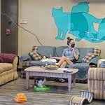 موكاس و ميوس