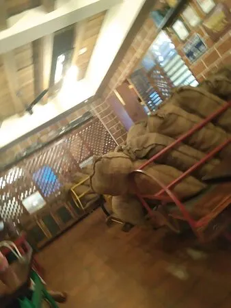 أدامينتي تشاياكادا