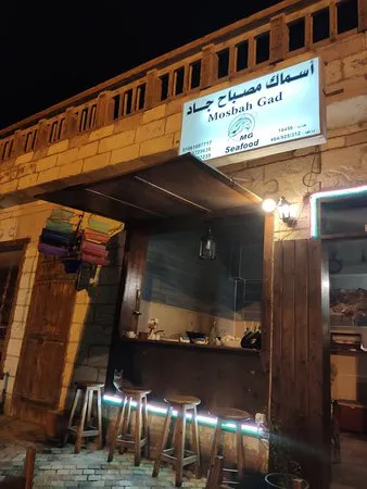 أسماك مصباح جاد، شرم الشيخ