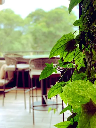 صالة أولستار الرياضية