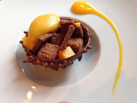 استامينيت كوانتا