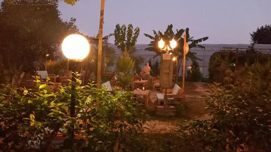 Tropic Garden Aile Cay Bahcesi