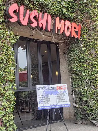 سوشي موري