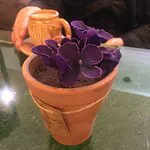 Spoon & Glaze | سبون اند جليز