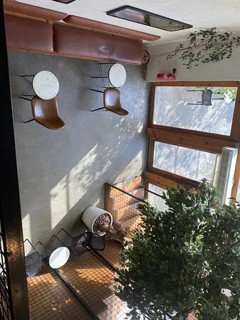 مقهى كوف، جازان