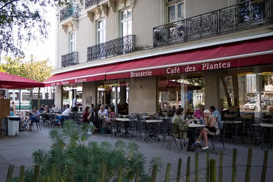 cafe des plantes