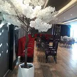 تاريخ الحلو