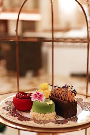 صالة اتريوم لاونج، مسقط