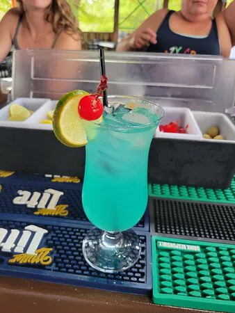 Crazy Craig's Treehouse (باللغة الإنجليزية).