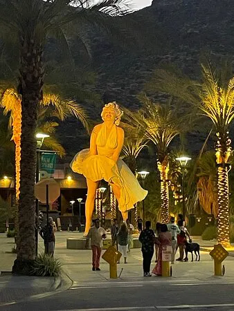 ستاوت برجر وبيرة