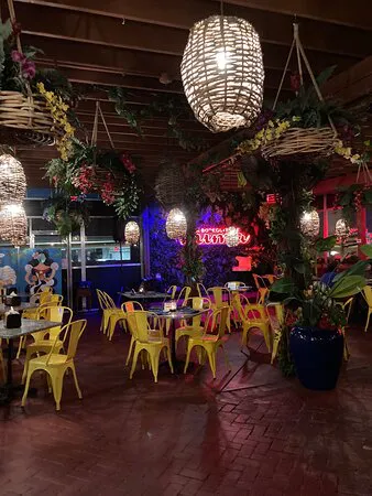 سينورا أريبا