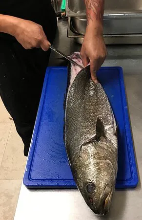 مطعم إنفيتالي إينوتراتوريا، براغ